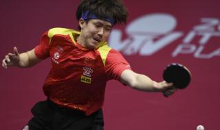 王楚钦樊振东男单决赛 王楚钦樊振东男单决赛